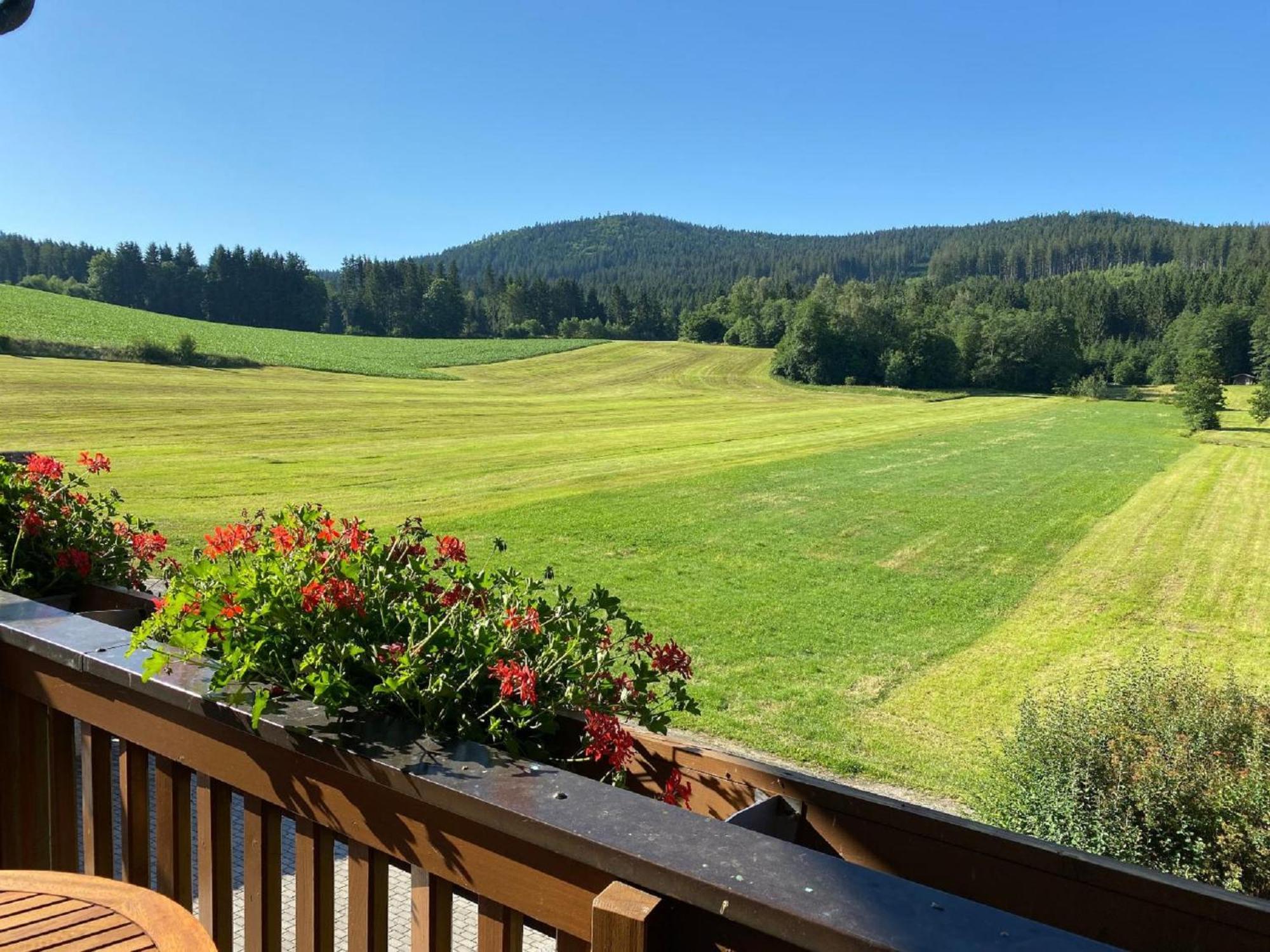 Ferienwohnungen Holzferienhaeuser Leithenwald Zwiesel Exterior photo