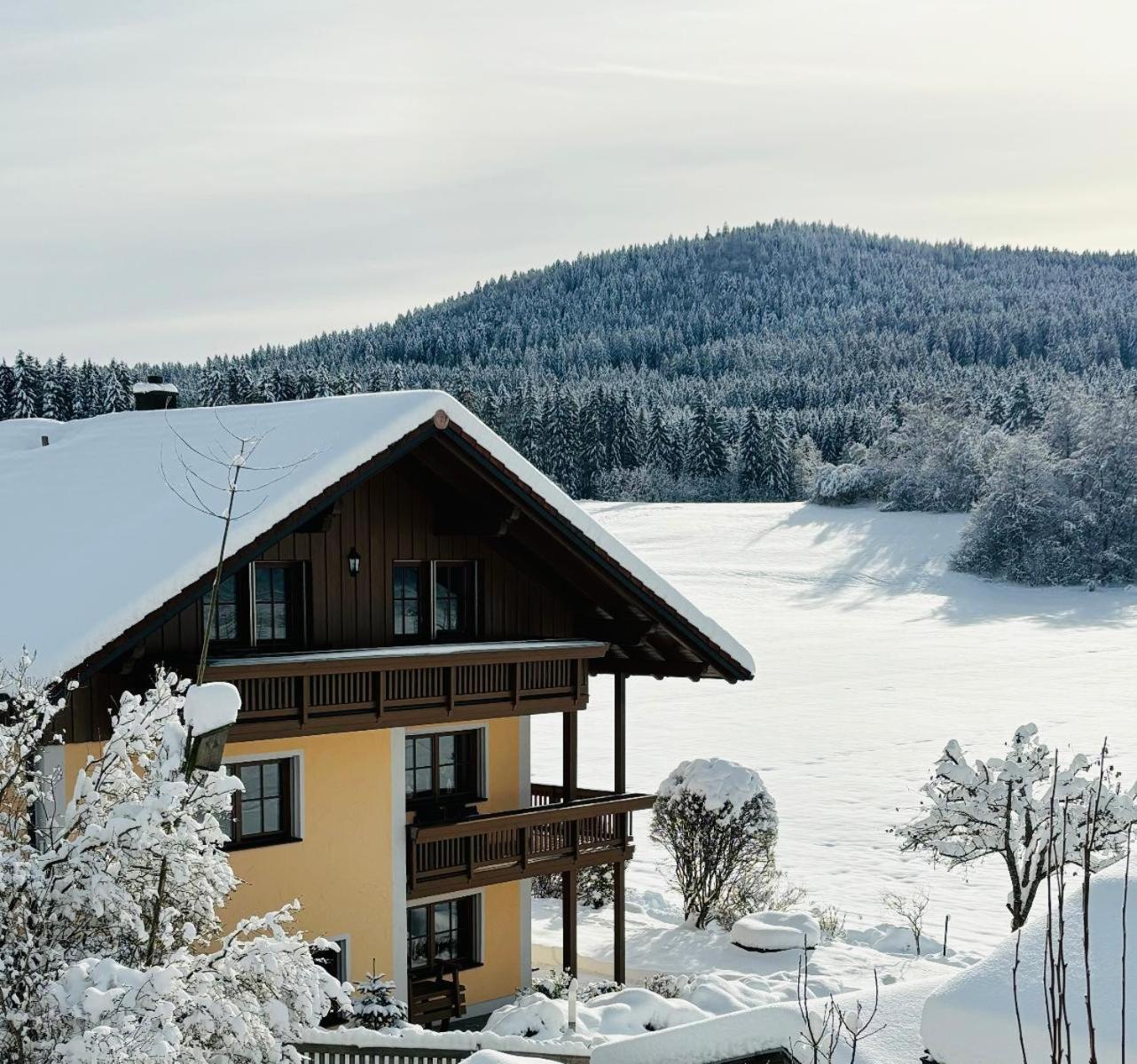 Ferienwohnungen Holzferienhaeuser Leithenwald Zwiesel Exterior photo