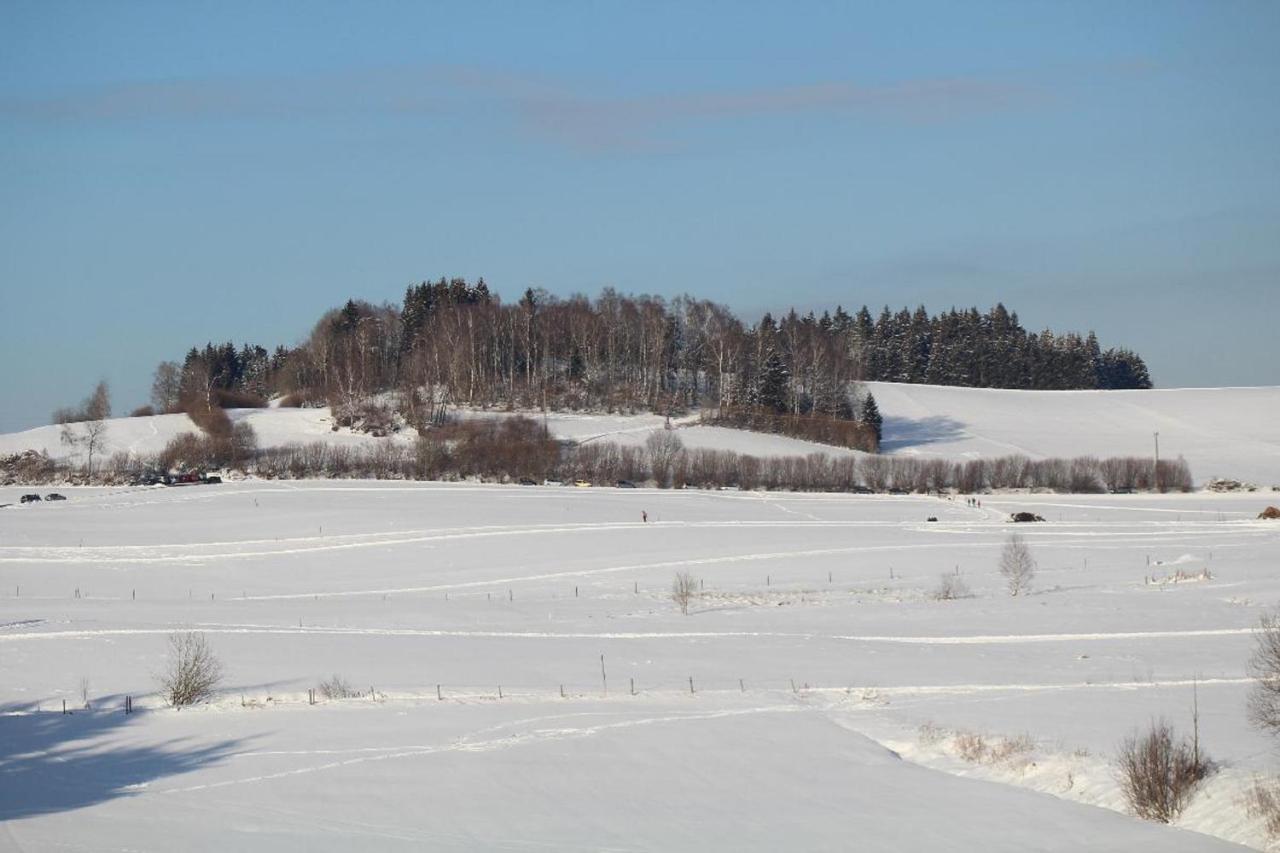 Ferienwohnungen Holzferienhaeuser Leithenwald Zwiesel Exterior photo